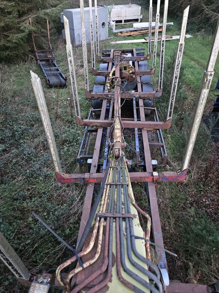 Timber forestry trailer with crane - Image 1