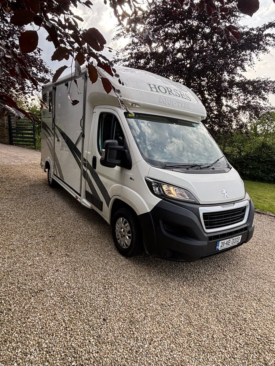 2021 Horse Box 2 stall - Image 1