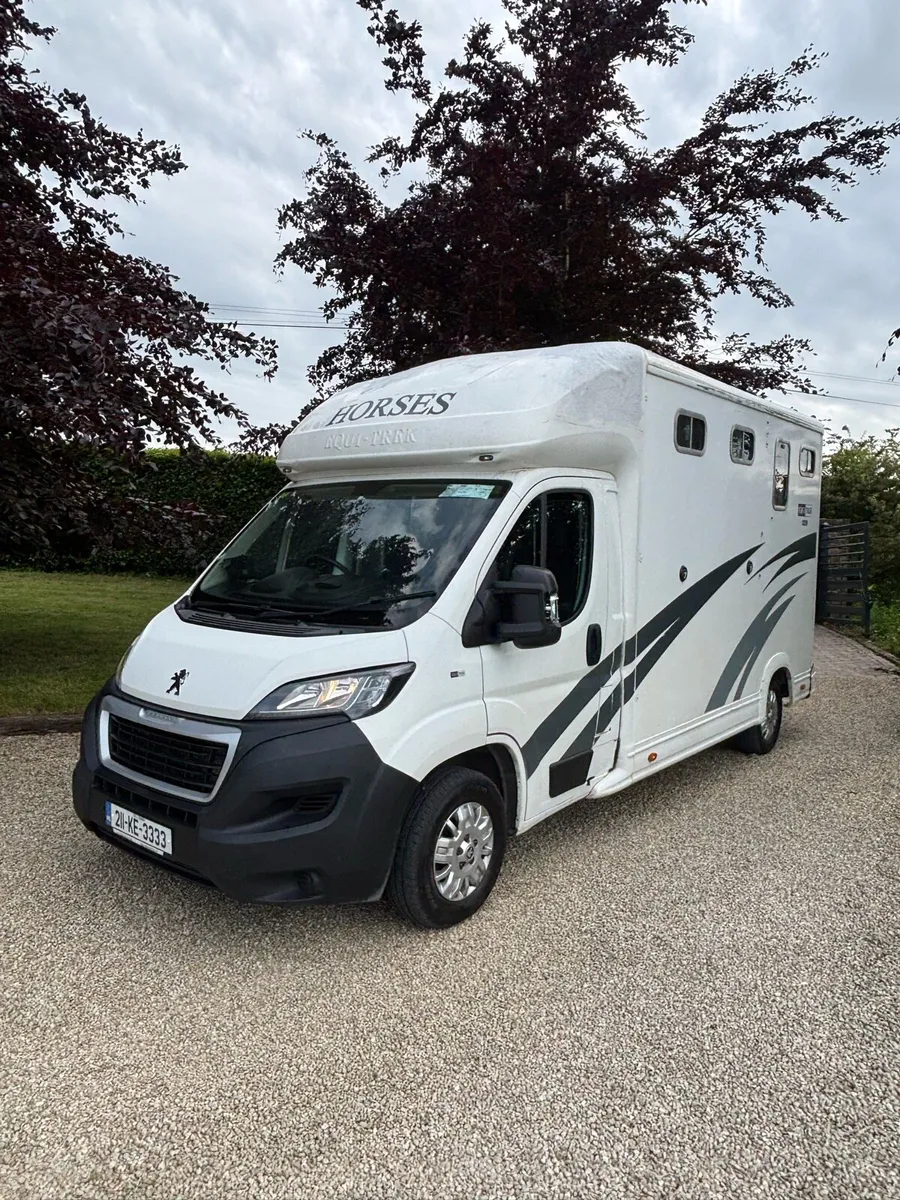 2021 Horse Box 2 stall - Image 2