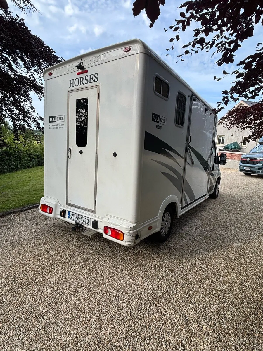 2021 Horse Box 2 stall - Image 4