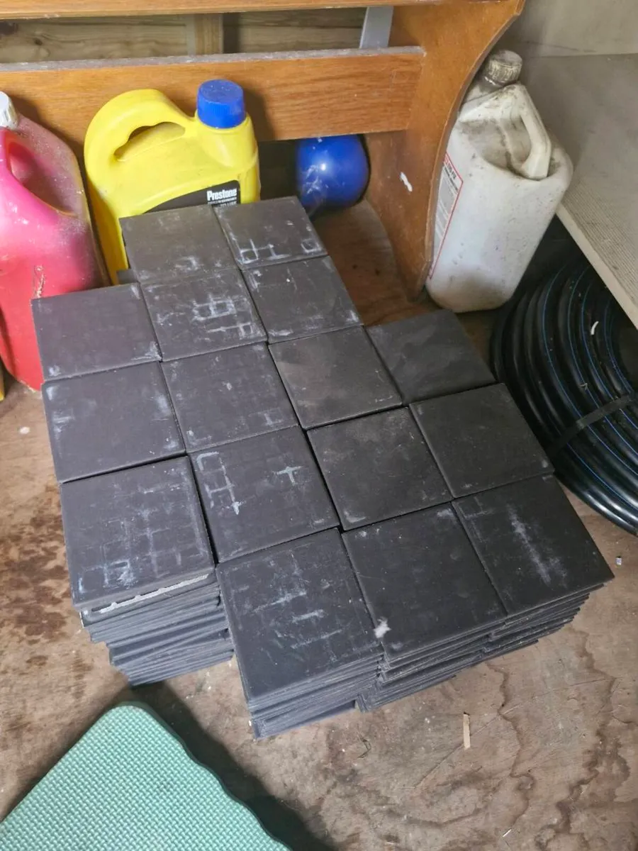 Bathroom tiles - Image 1