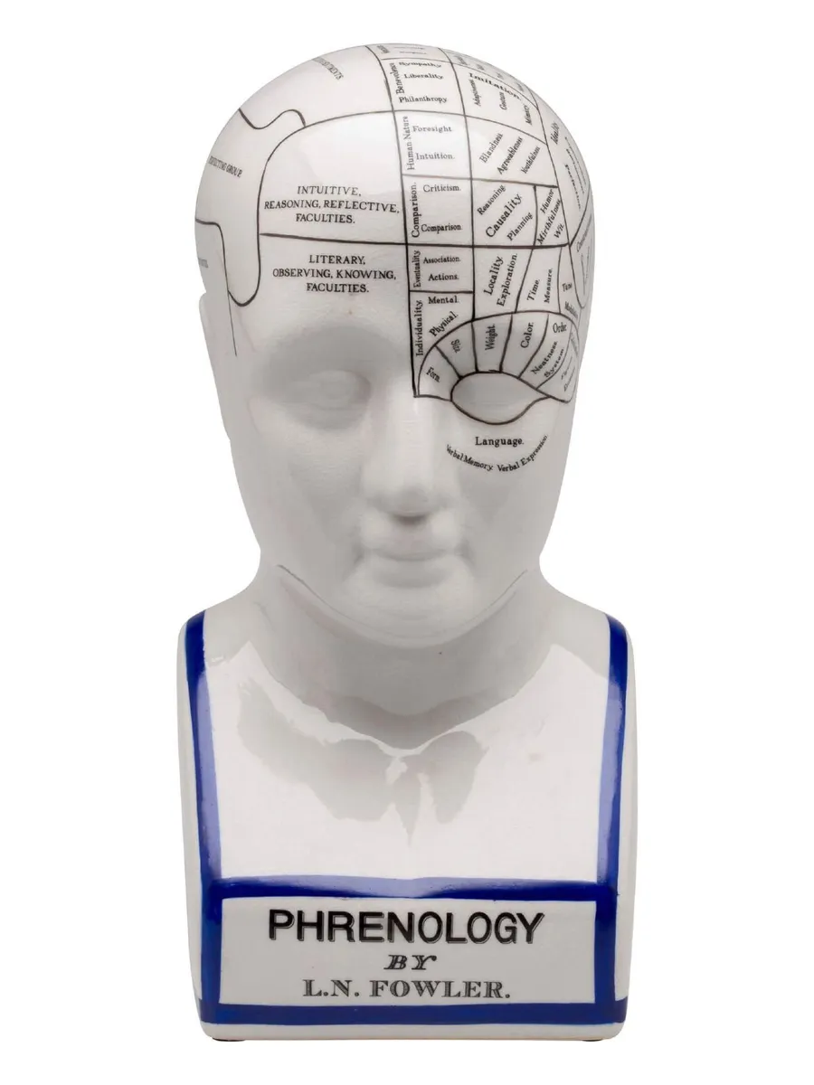 Large 30cm Phrenology Head Bust Vintage Medical An - Image 1