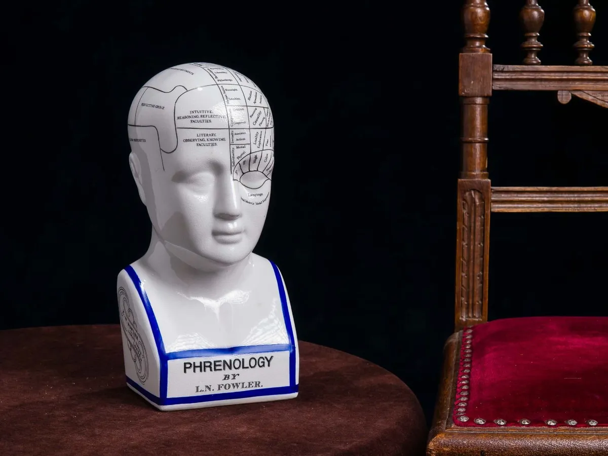 Large 30cm Phrenology Head Bust Vintage Medical An - Image 2