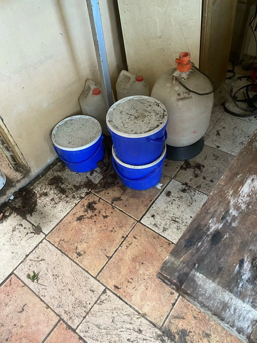 Beehives - Image 1