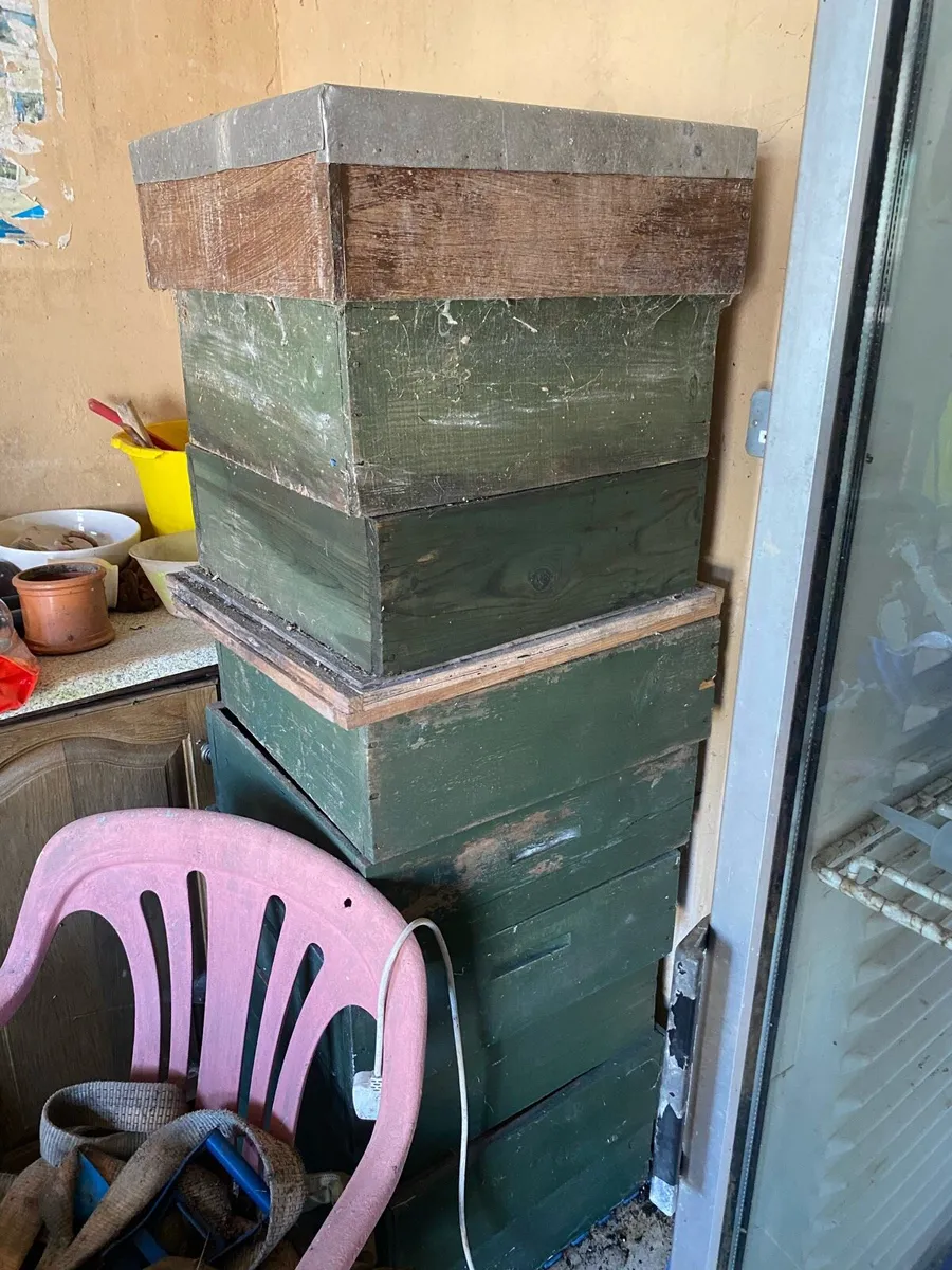 Beehives - Image 2