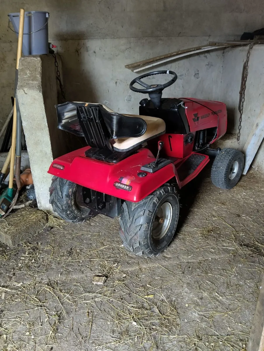 Mini Massey for sale €450 - Image 2