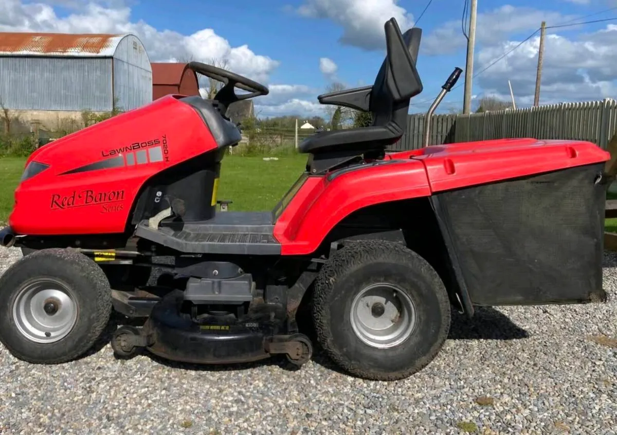 Lawn boss - Image 1