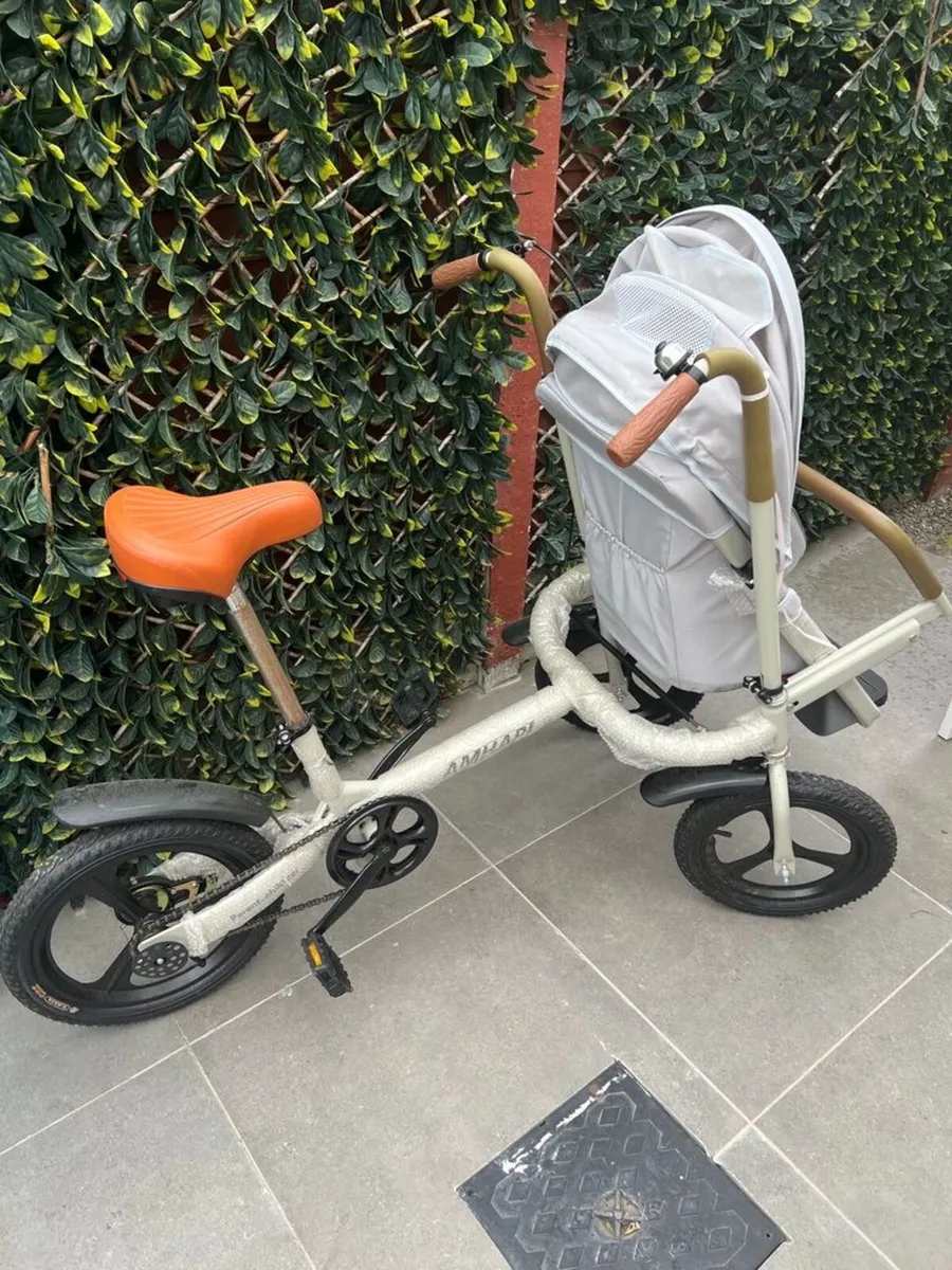 🚴‍♂️ [Dublin] Near New Parent-Child 3-Wheel Strol - Image 2