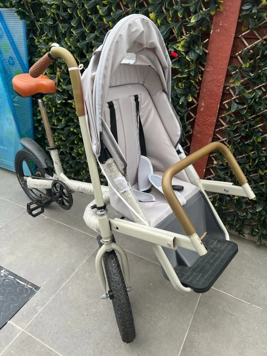 🚴‍♂️ [Dublin] Near New Parent-Child 3-Wheel Strol - Image 1
