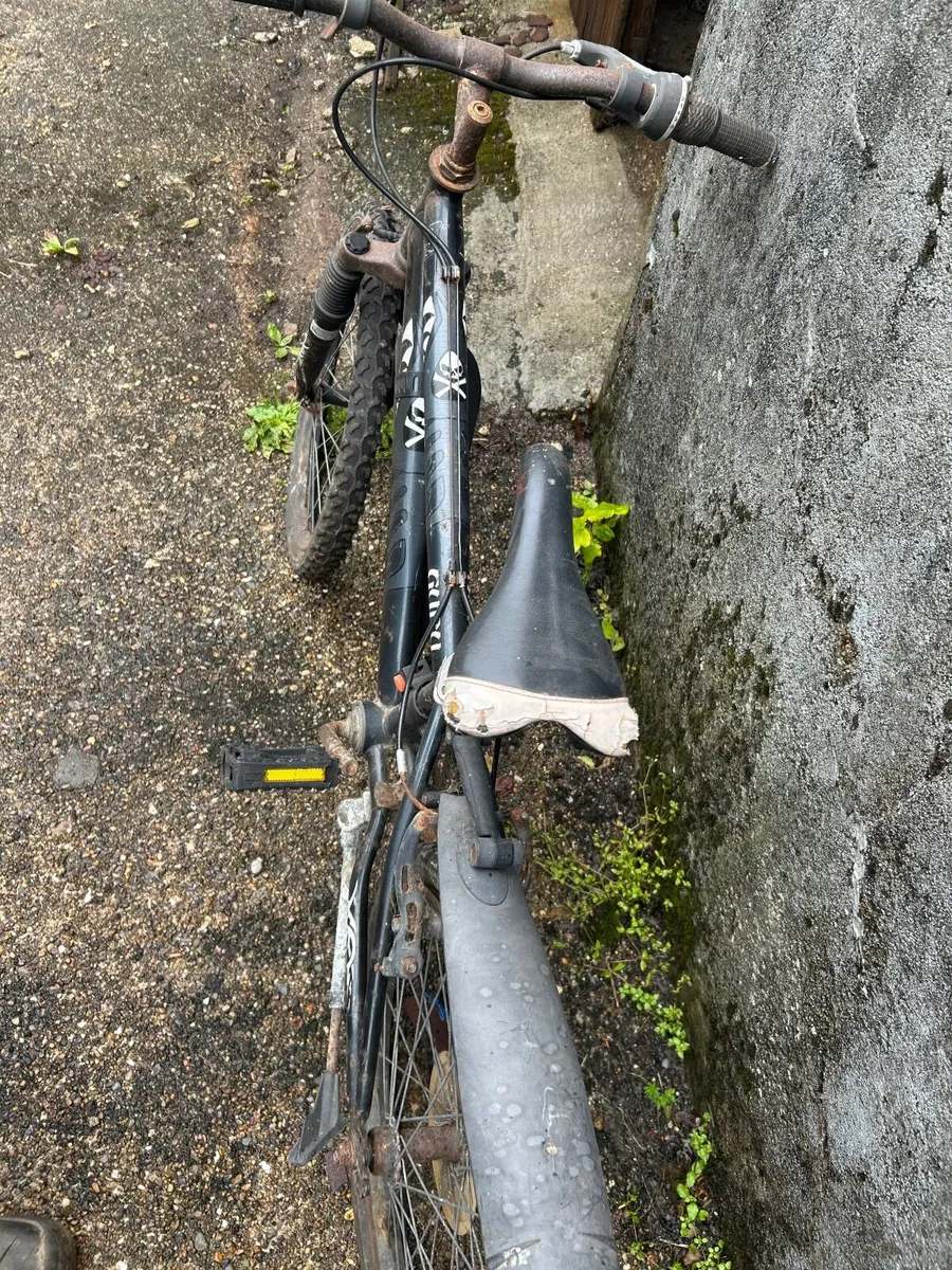 Bike - Image 1