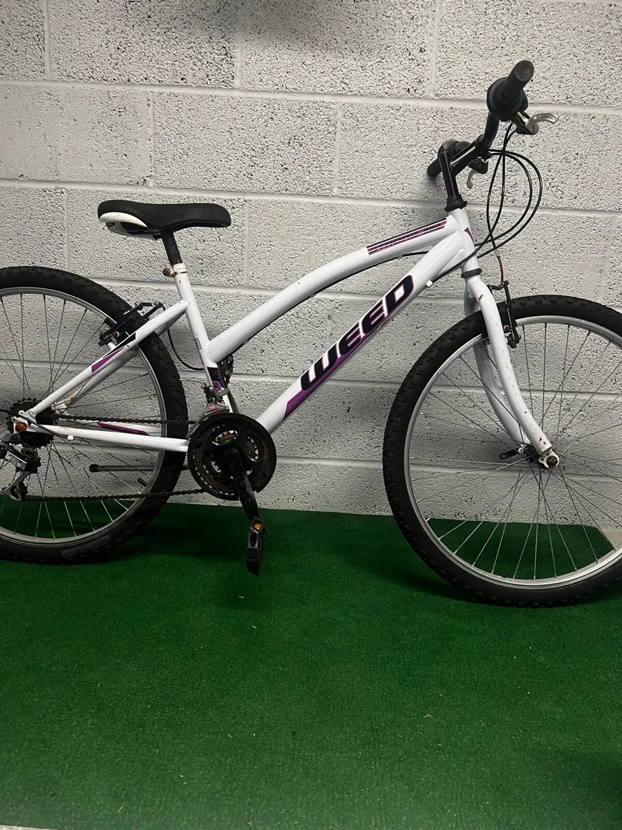 Girls Bike (age 10+)