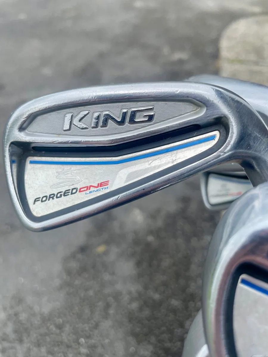 Cobra One Length Irons - Image 3