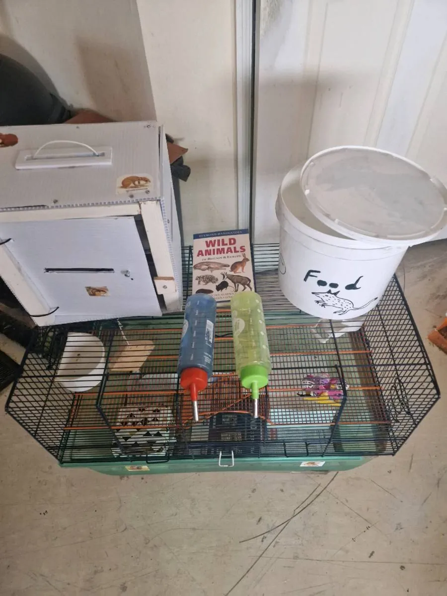 Hamster cage ginney  pig. cage ferrit rat cage . - Image 1