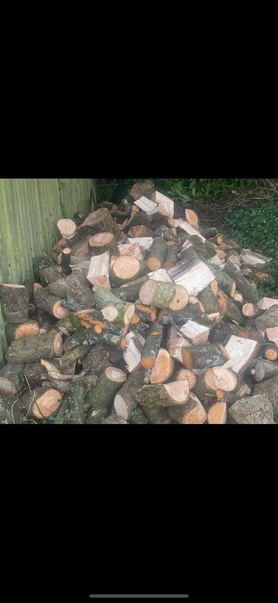 Firewood - Image 2