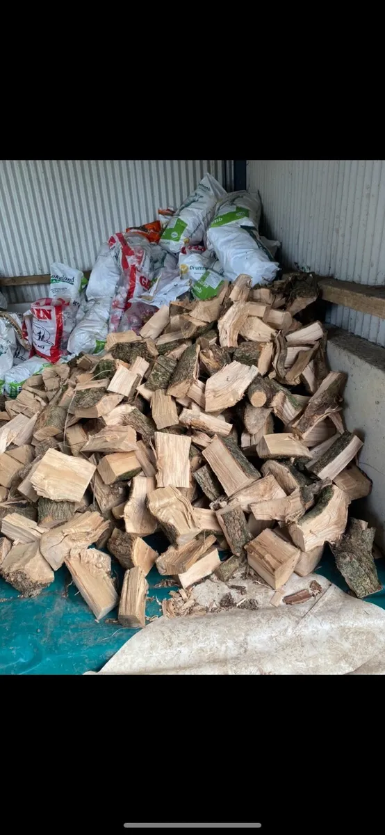 Firewood - Image 4