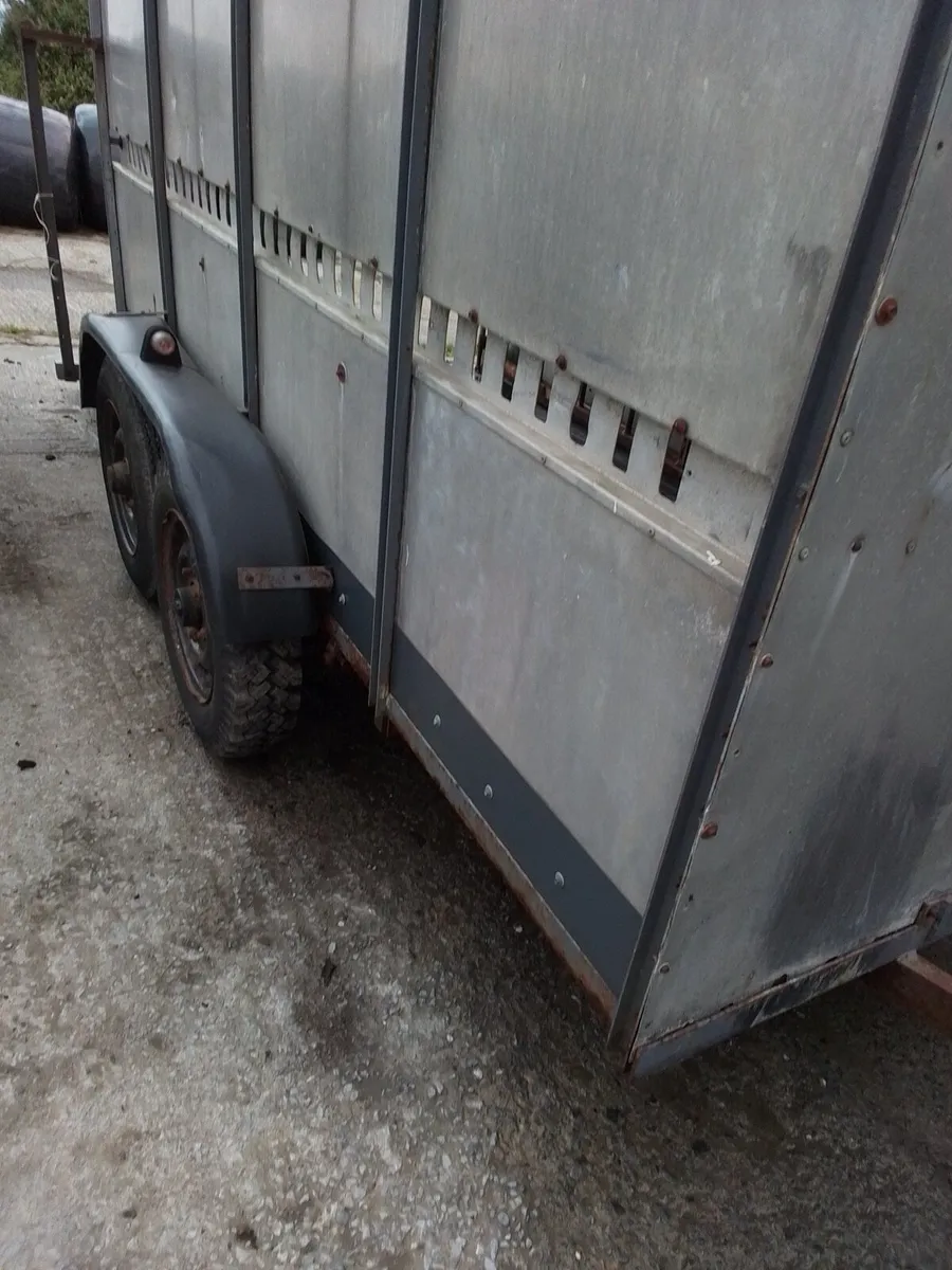10x5 cow box - Image 1