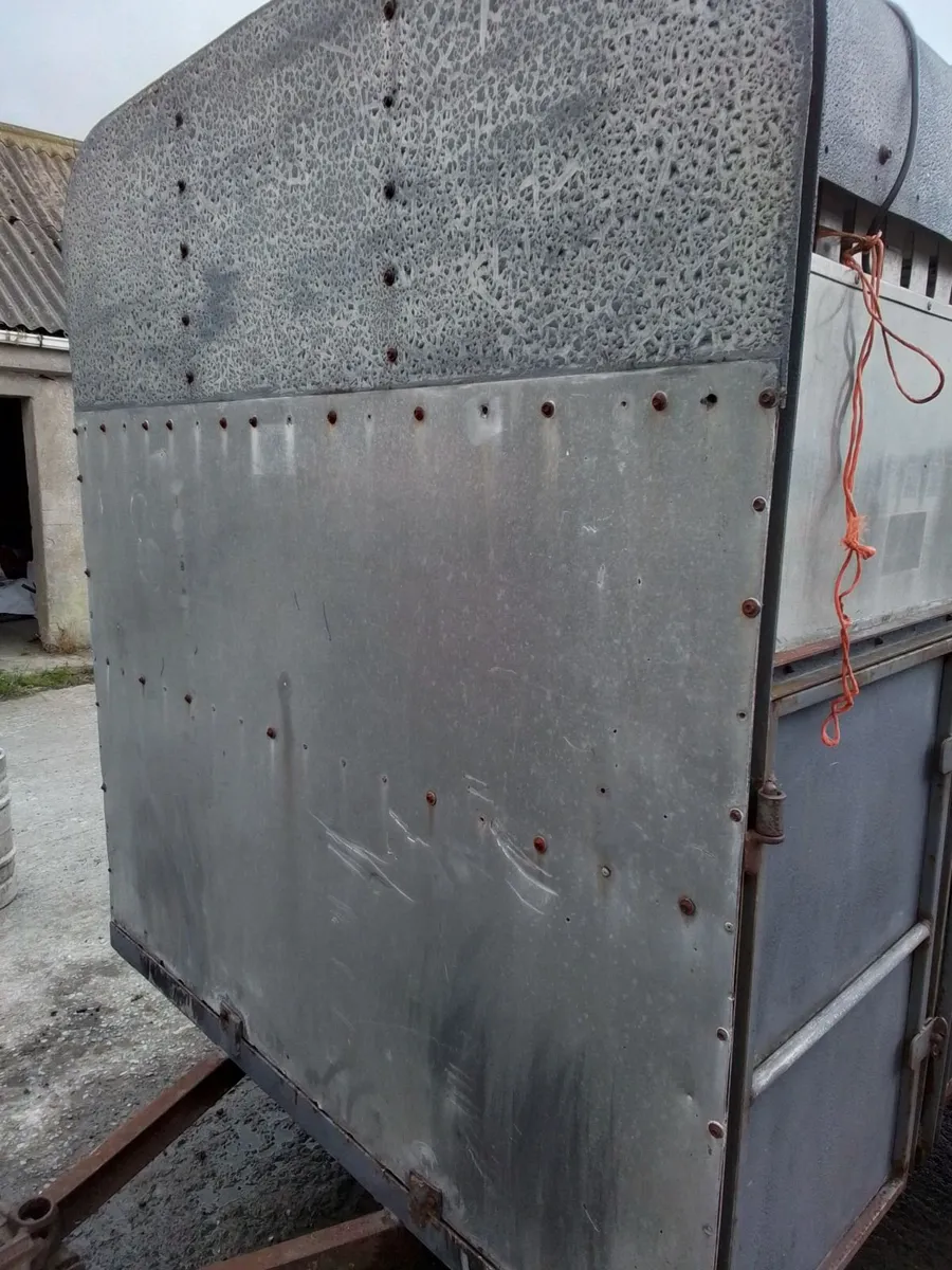 10x5 cow box - Image 3