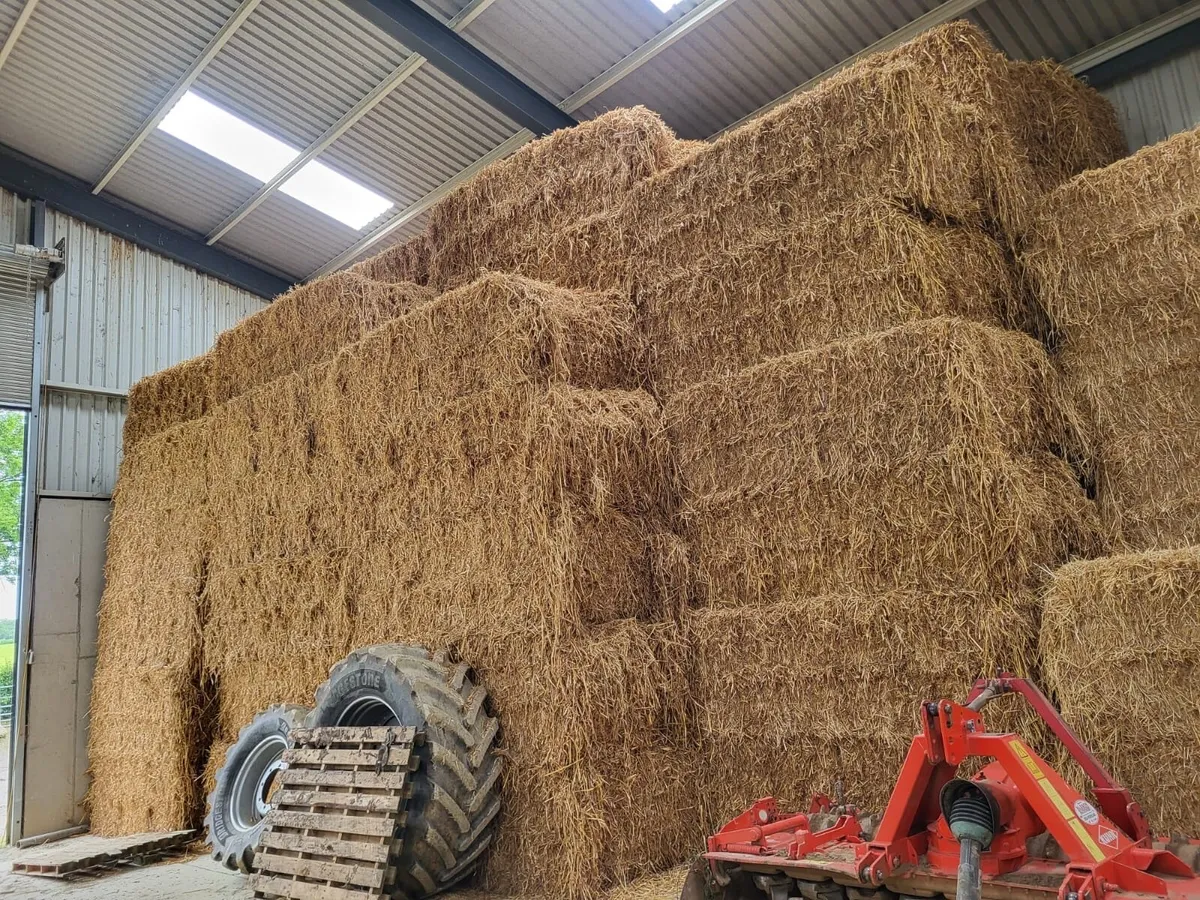 Oaten Straw - Image 3