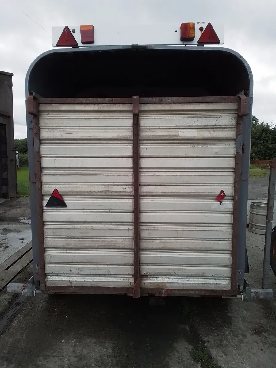 10x5 cow box - Image 4