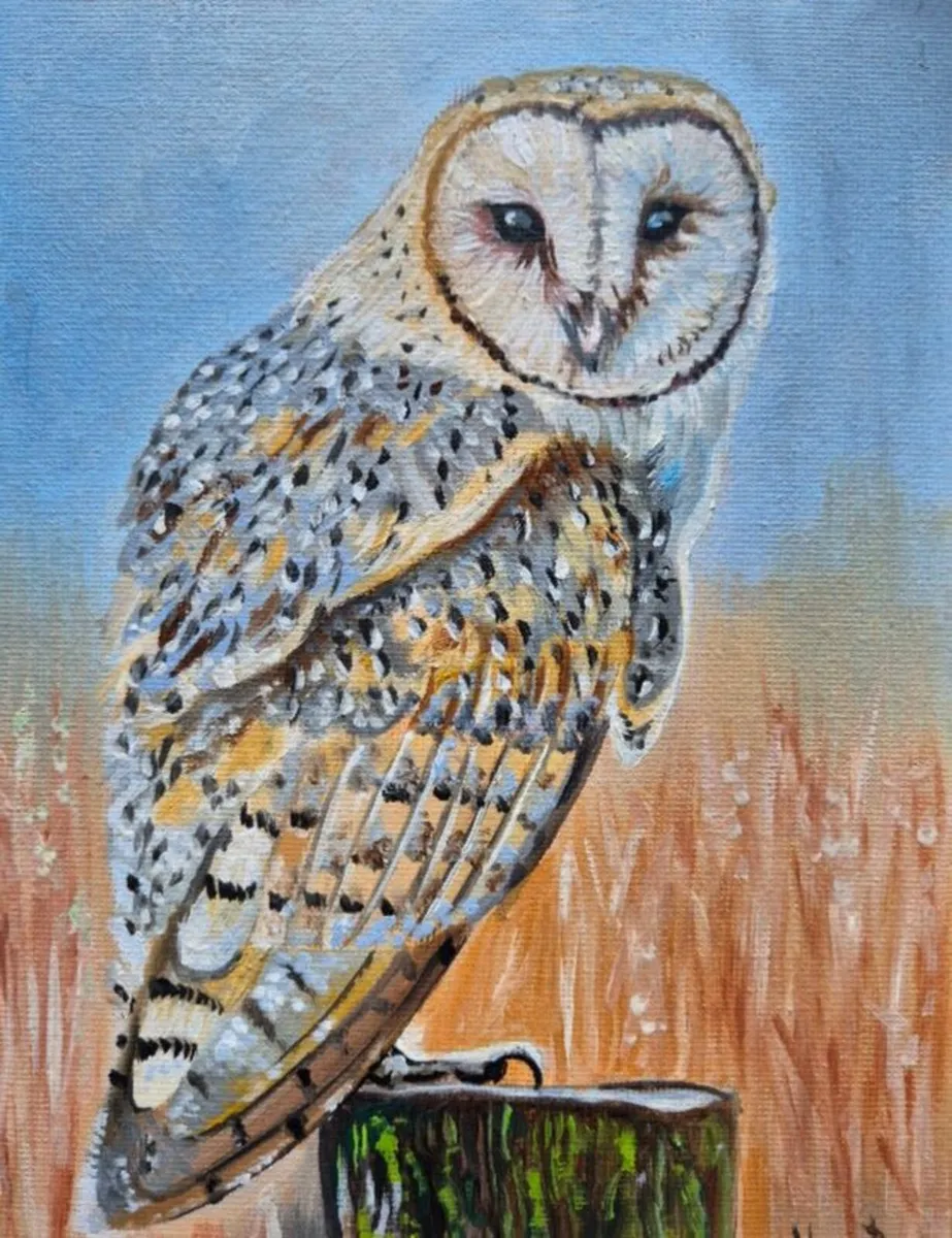 Barn Owl / oil painting on canvas panel - Image 1