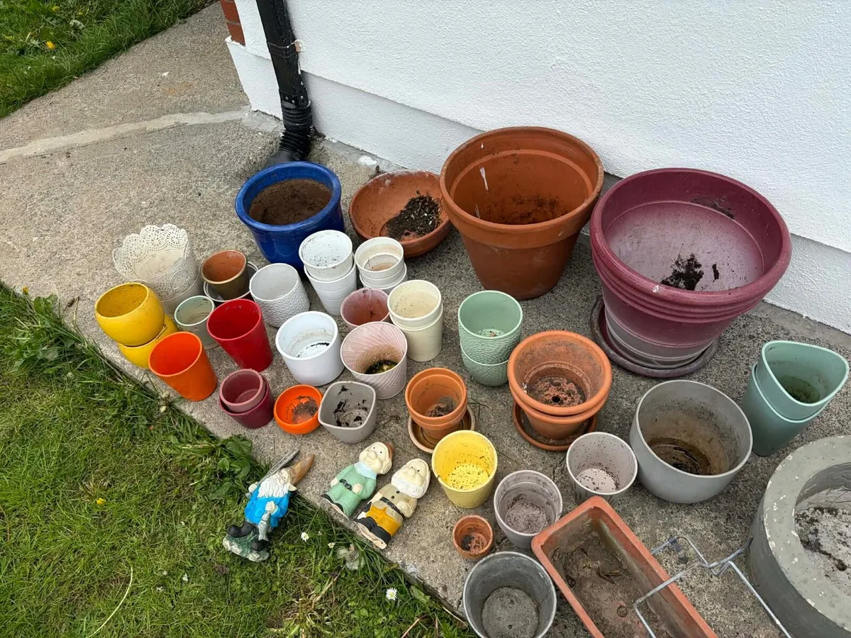 ceramic garden flower and tree pots - Image 2