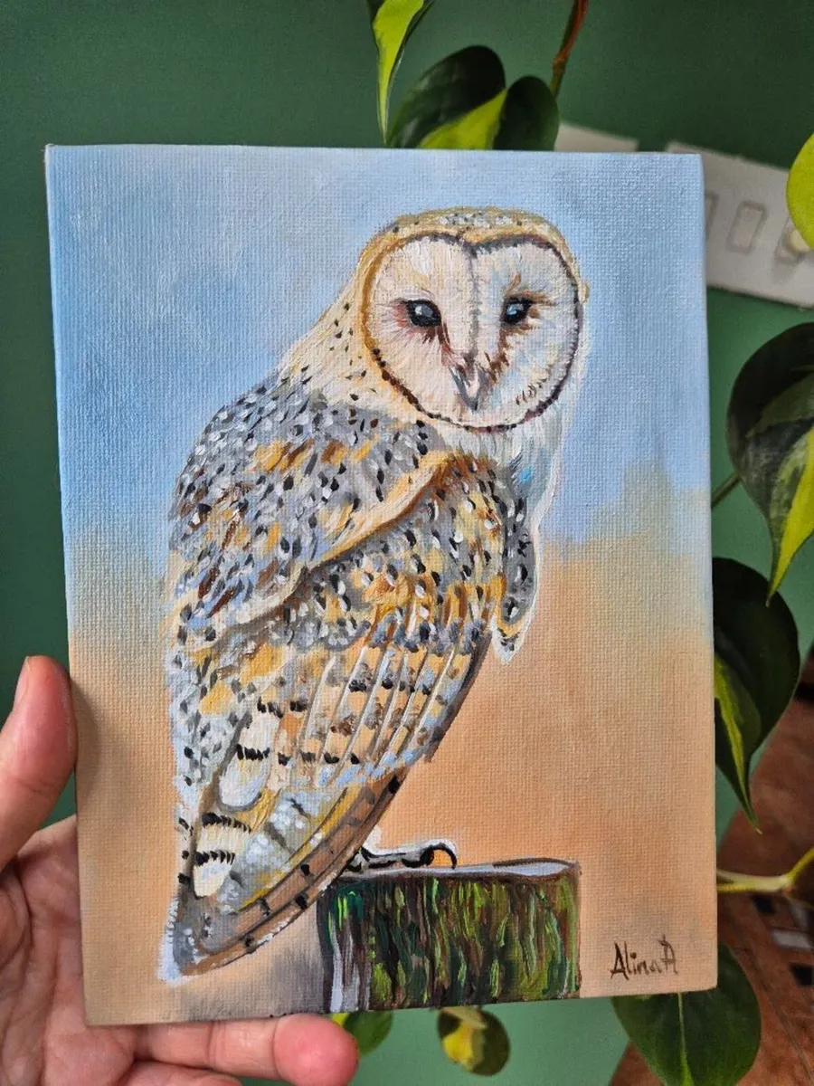 Barn Owl / oil painting on canvas panel - Image 2