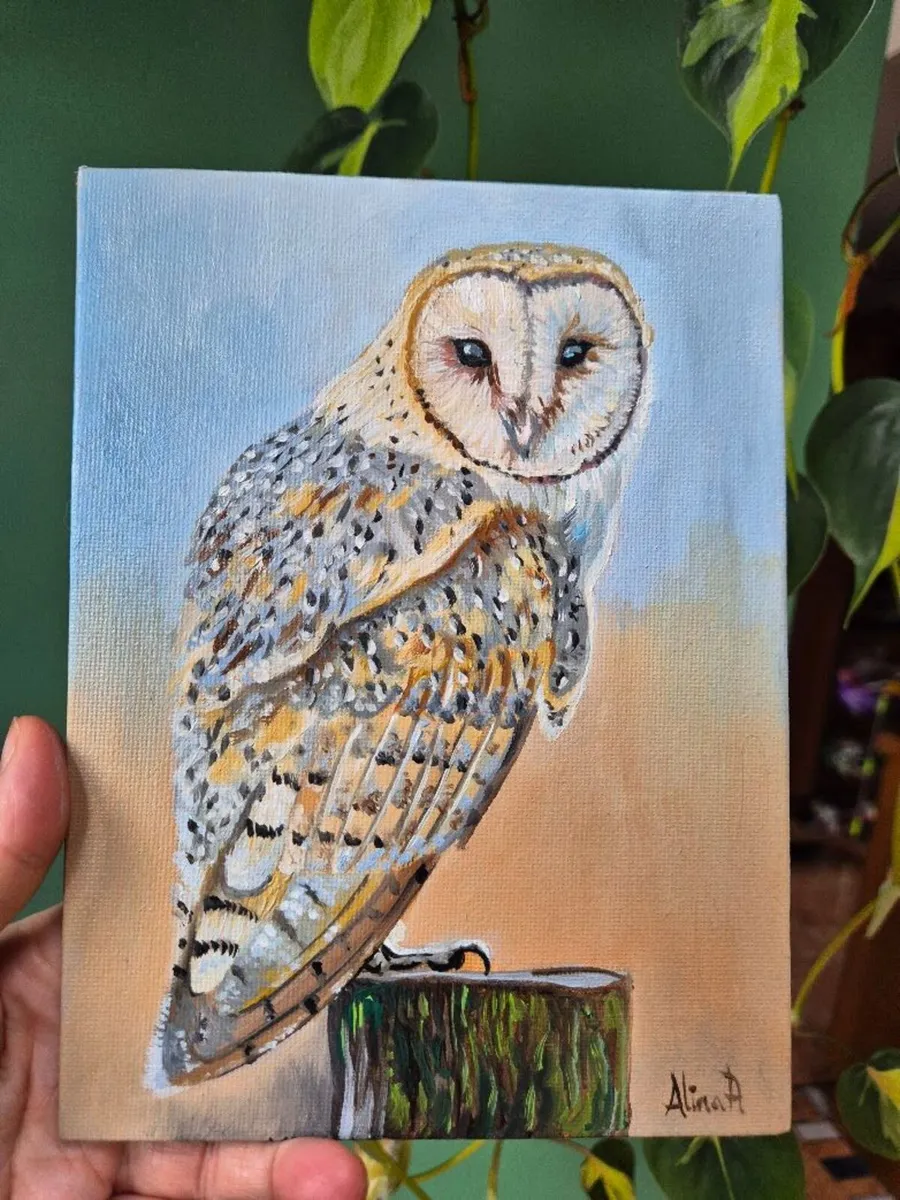 Barn Owl / oil painting on canvas panel - Image 4