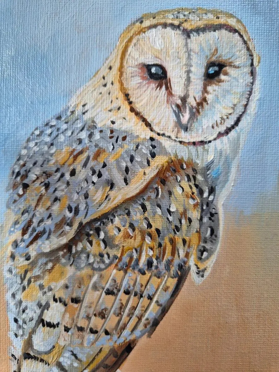Barn Owl / oil painting on canvas panel - Image 3