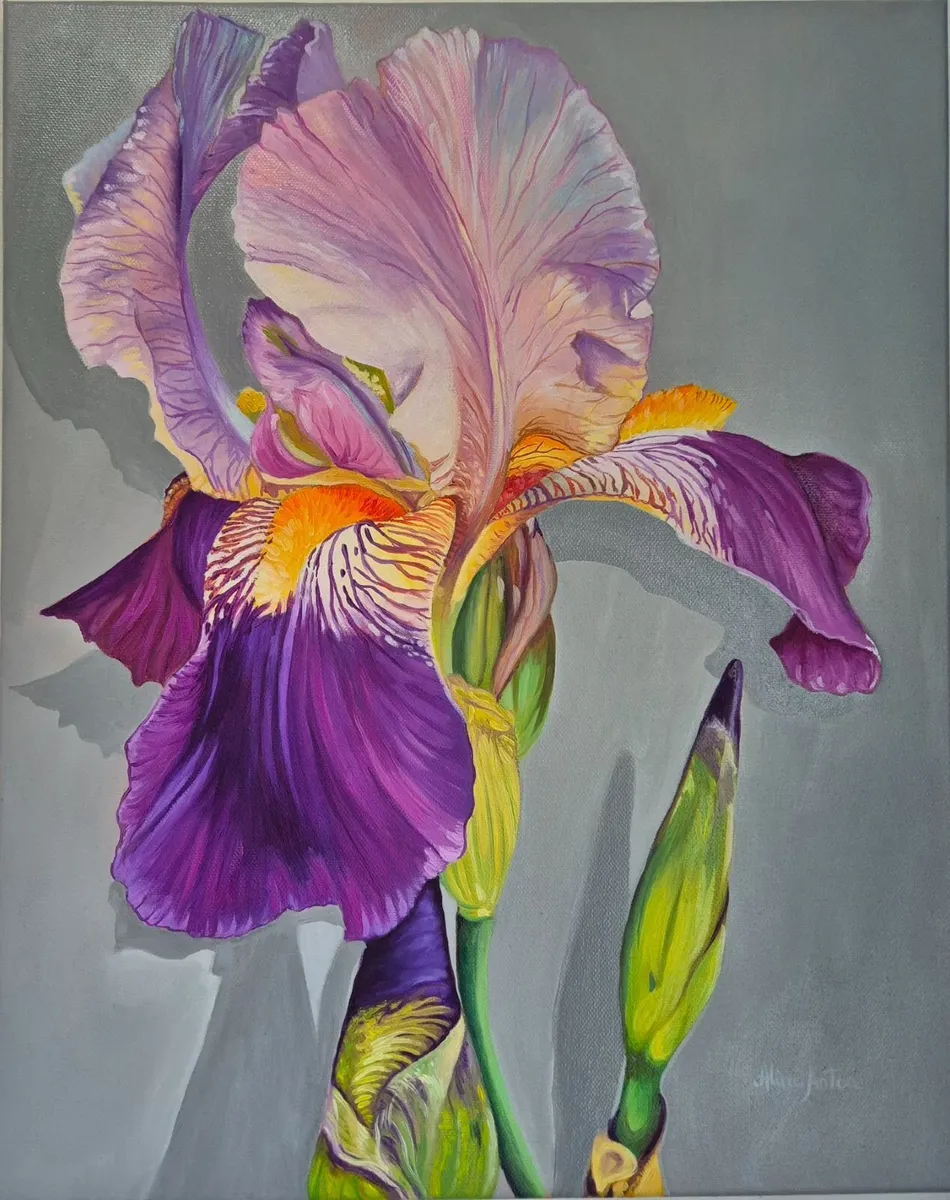 Violet Iris | Oil Painting on canvas - Image 1