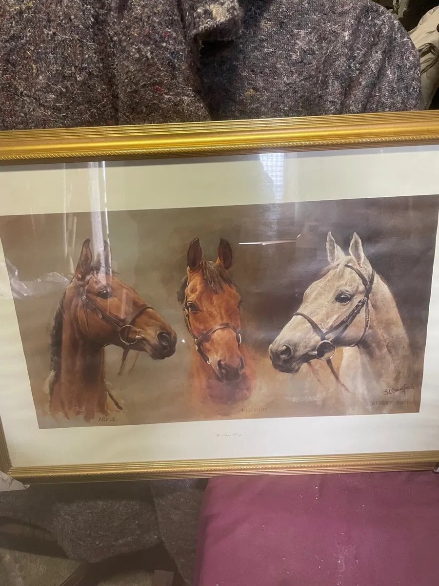Framed  Race horse Print