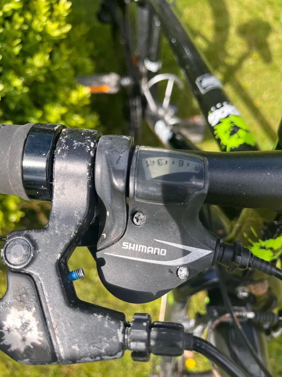 Bicycle frog - Image 1
