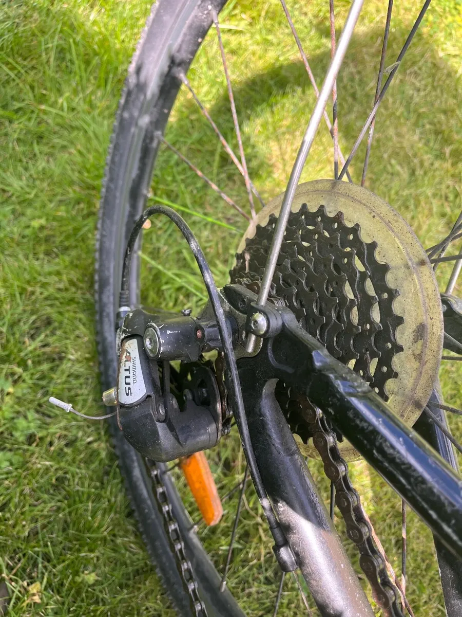 Bicycle frog - Image 3