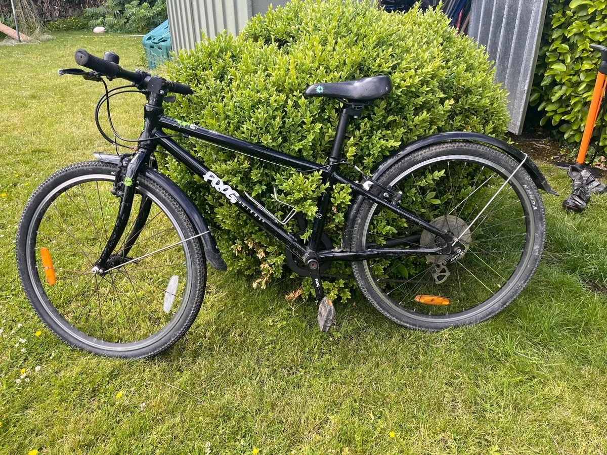 Bicycle frog - Image 4