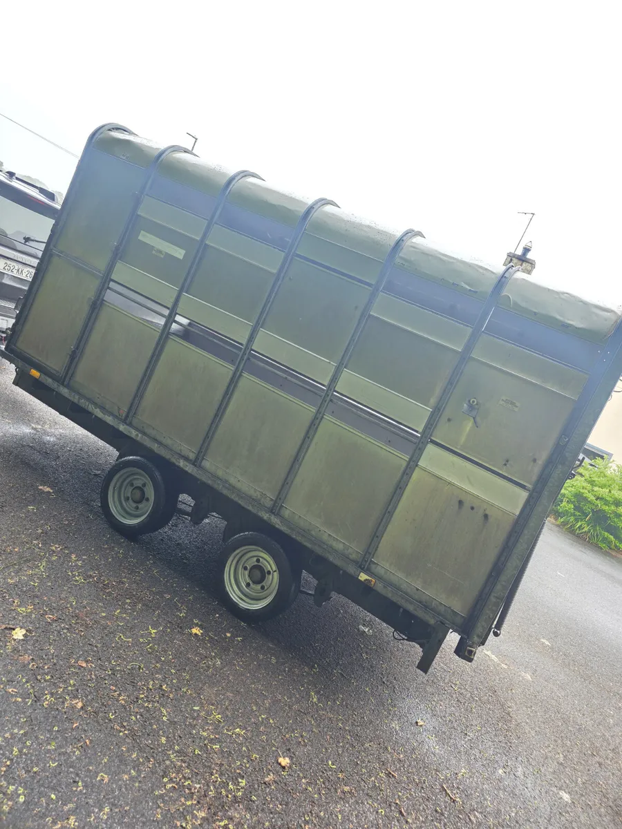 12ft ifor Williams livestock trailer - Image 3