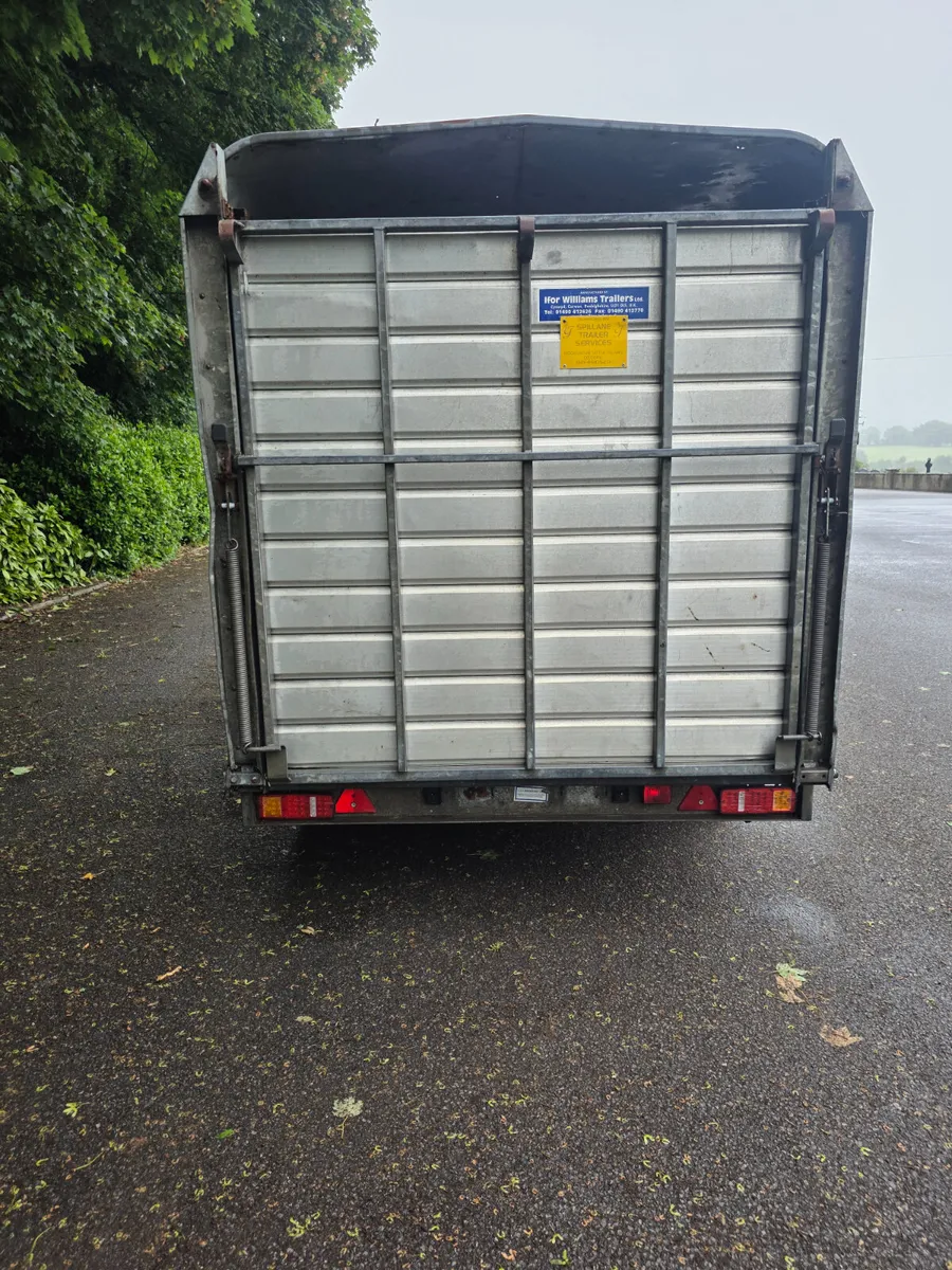 12ft ifor Williams livestock trailer - Image 4