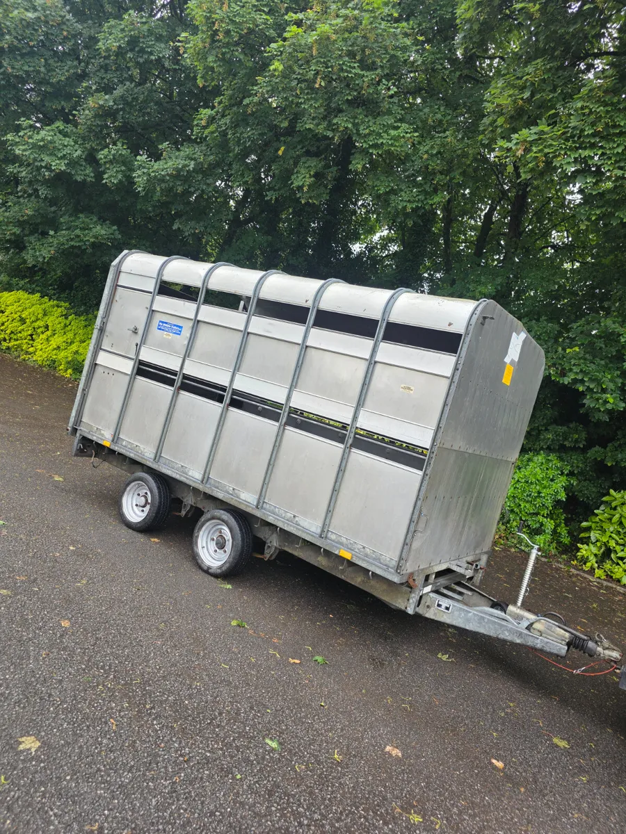 12ft ifor Williams livestock trailer - Image 1