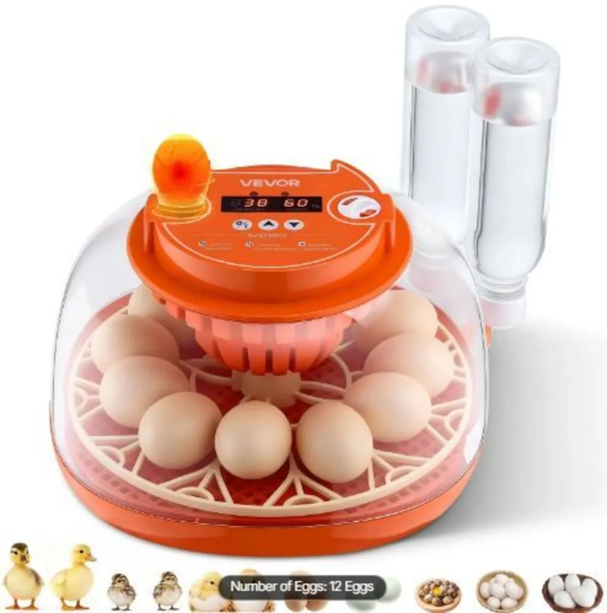 12 Egg Incubator, Automatic Egg Turner - Image 4