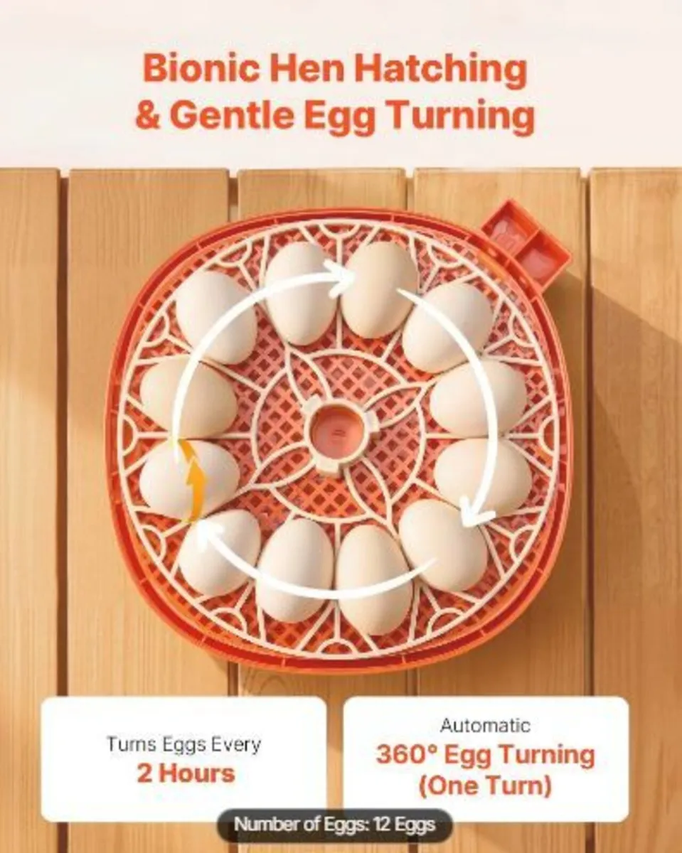 12 Egg Incubator, Automatic Egg Turner - Image 2