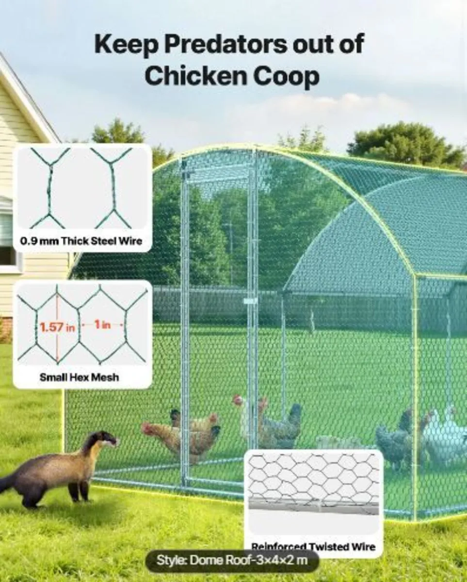 Metal Chicken Coop, 9.8x13.1x6.5 ft - Image 4