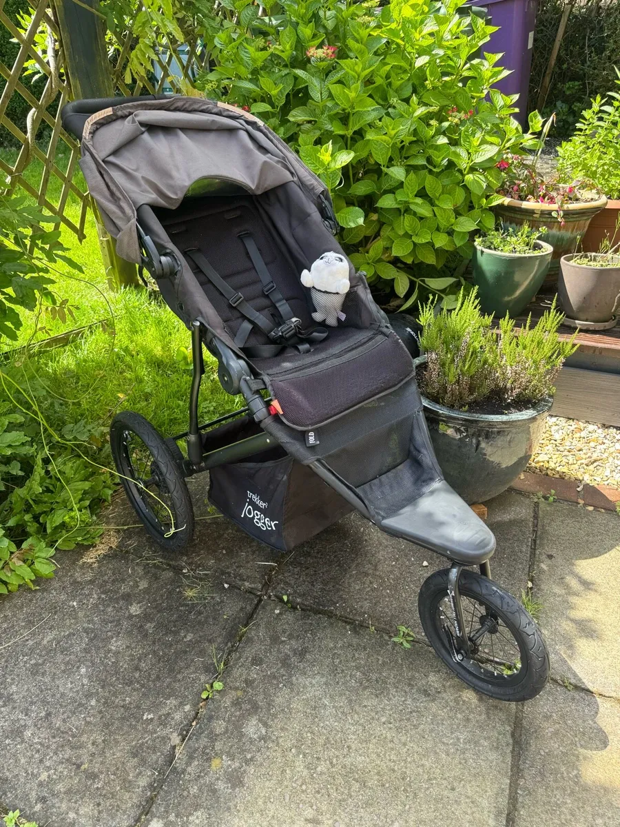Baby buggy - Image 3
