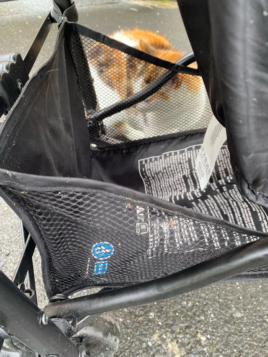 Pushchair - Image 4