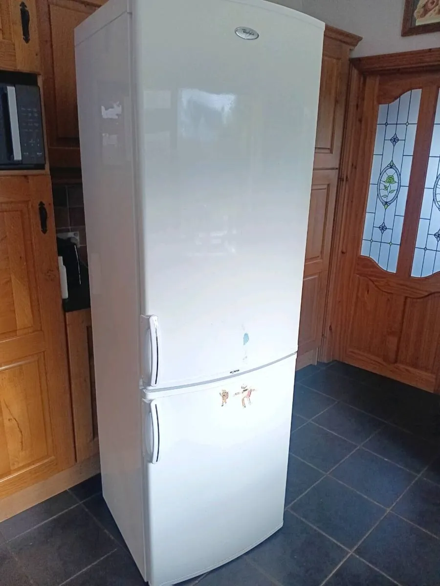 Fridge freezer - Image 1