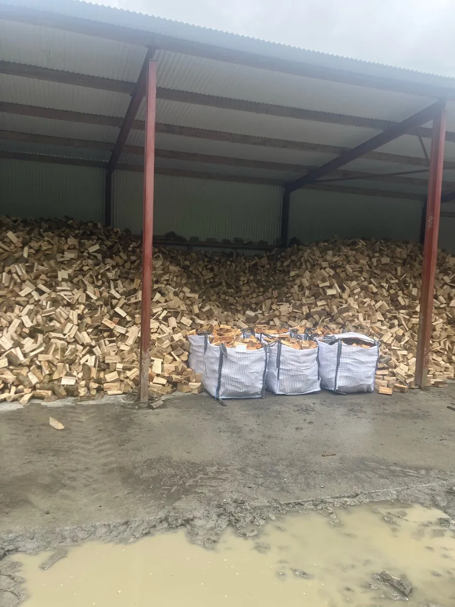 Firewood hardwood - Image 1
