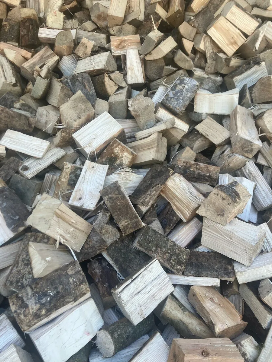 Firewood hardwood - Image 2