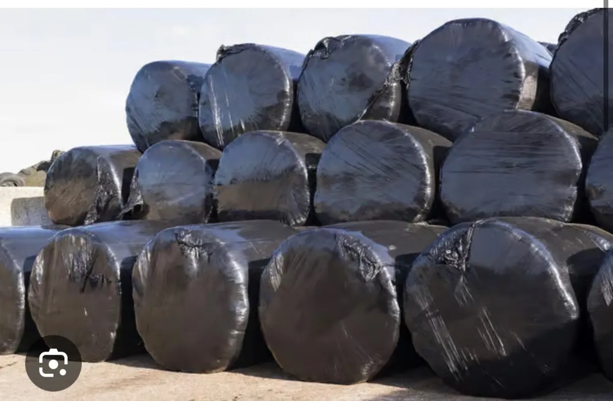Bales silage