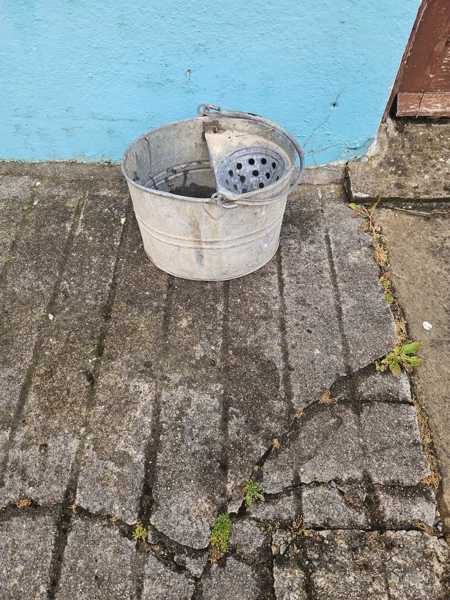 Vintage Galvanised Bucket Plant Pot - Image 3
