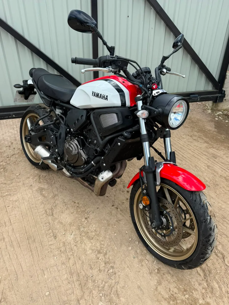 Yamaha xsr - Image 2