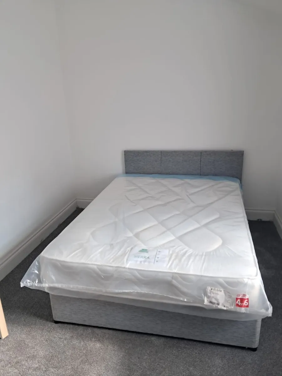 Double bedroom to rent in shared apartment - Image 1