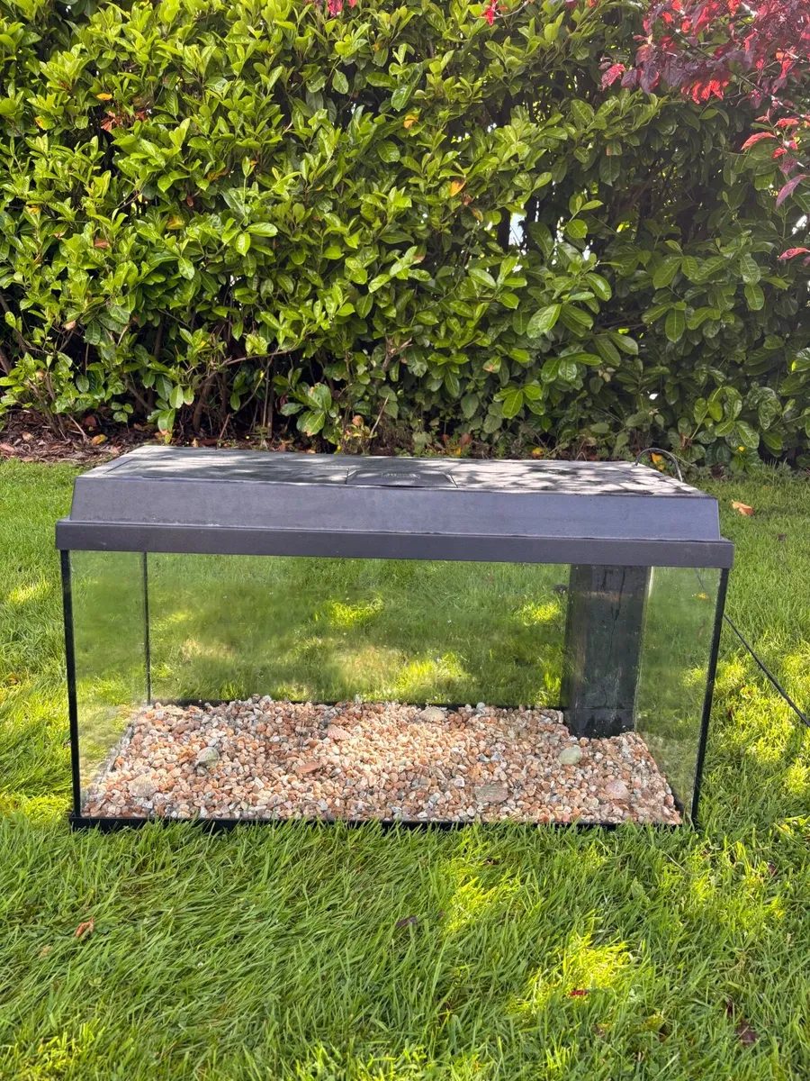 130L Fishtank - Image 3