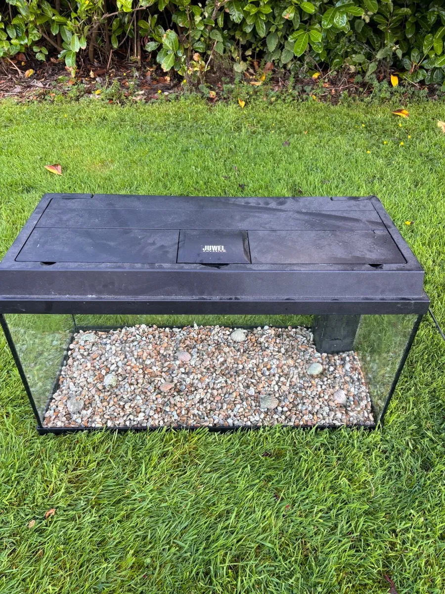 130L Fishtank - Image 4